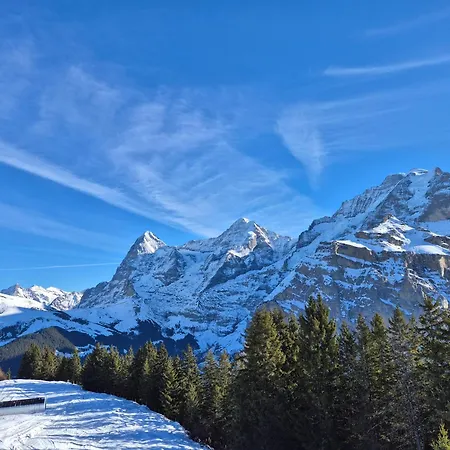 Casa Del Sole - Ruhig - Naehe Interlaken Διαμέρισμα Spiez